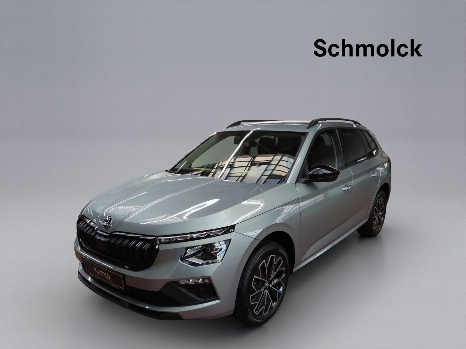 Skoda Kamiq Balance 1,0 TSI DSG 116 PS LED DAB RFK PDC
