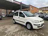 Fiat Panda 1.2 8V Dynamic - Fiat Panda: Limousine