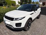 Land Rover Range Rover Evoque 2.0 TD4 Pure Pure - Land Rover Range Rover Evoque Geländewagen Td4 pure mit Diesel-Antrieb