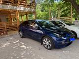 Tesla Model Y Long Range Dual Motor AWD Long Range - Tesla Model Y in Nürnberg