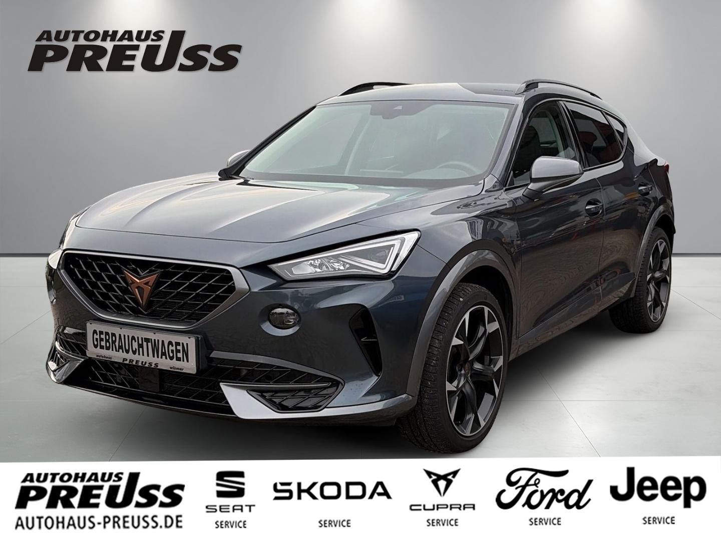 Cupra Formentor 2,0 TDI DSG 4Drive Navi Winterpaket