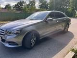 Mercedes-Benz E 250 BlueTEC 4MATIC AVANTGARDE Autom. AVANT... - Mercedes-Benz E 250 mit Diesel-Antrieb: Limousine