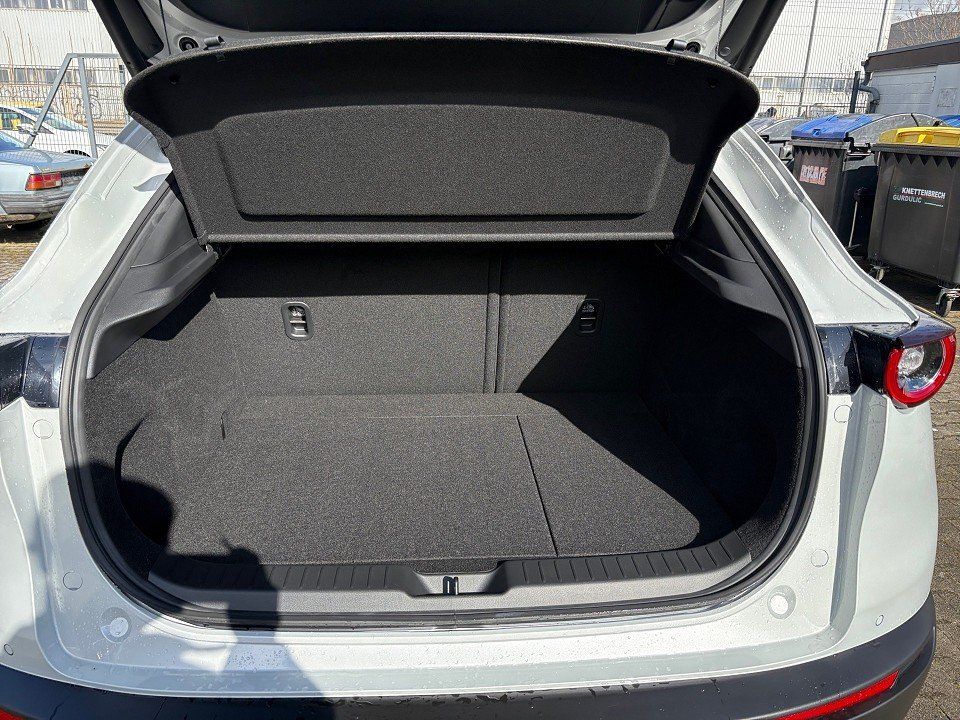 Fahrzeugabbildung Mazda CX-30 X 2.0i 186PS A/T Homura