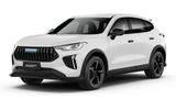 GWM HAVAL Jolion Pro Luxury/Automatik/Leder/LED/PAN - GWM in Essen