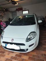 Fiat Punto 1.2 8V MYSTYLE MYSTYLE - Fiat Punto aus 2016
