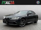 Alfa Romeo Giulia Quadrifoglio 2.9 V6 - Alfa Romeo Giulia quadrifoglio mit Benzin-Antrieb
