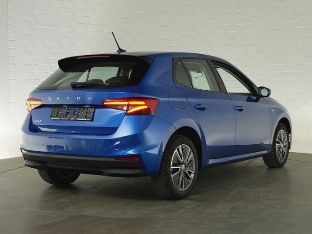 Fabia TOUR TSI+LED LICHT+PARKPILOT VO+HI+SITZHEI