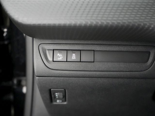 2008 STYLE+PANORAMADACH+PARKPILOT HI+LED TAGFAHR