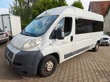 Fiat Ducato 6m lang und hoch - Fiat Ducato: Lang