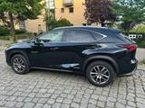 Lexus NX 300h Launch Edition scheckheftgepflegt - Lexus: Sc