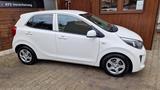 Kia Picanto Edition 7 SHZ, LHZ, 2 Hand - gebrauchte Kia Picanto aus dem Jahr 2017