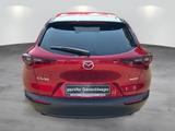 Mazda CX-30 "Selection" 2.0l "AHK" M Hybrid - Mazda CX-30 Selection mit Hybrid-Antrieb (Benzin/Elektro)