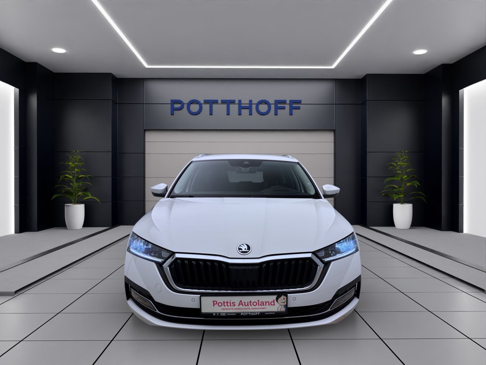 Skoda Octavia - Bild 8