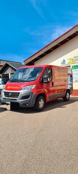 Fiat Ducato - Fiat Ducato: Kleinbus