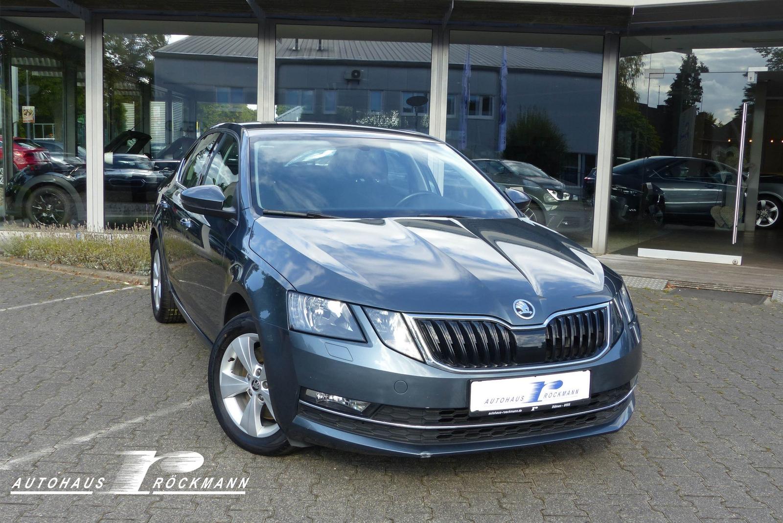 Skoda Octavia Lim. Aut. Style AHK Navi App PDC