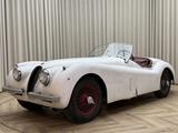 Jaguar XK XK120 SE OTS +Special Equipment+ Matching Num - Jaguar Oldtimer: Cabrio