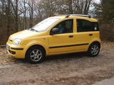 Fiat Panda (169AXF1A) 69 PS gelb