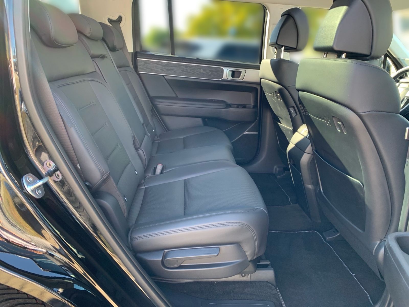 Fahrzeugabbildung Hyundai SANTA FE 1.6T-GDI Signature Hybrid 4WD Schiebeda