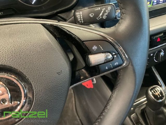 Fahrzeugabbildung SKODA Fabia Active 1.0 LED Sperrdiff. DAB Spurhalteass