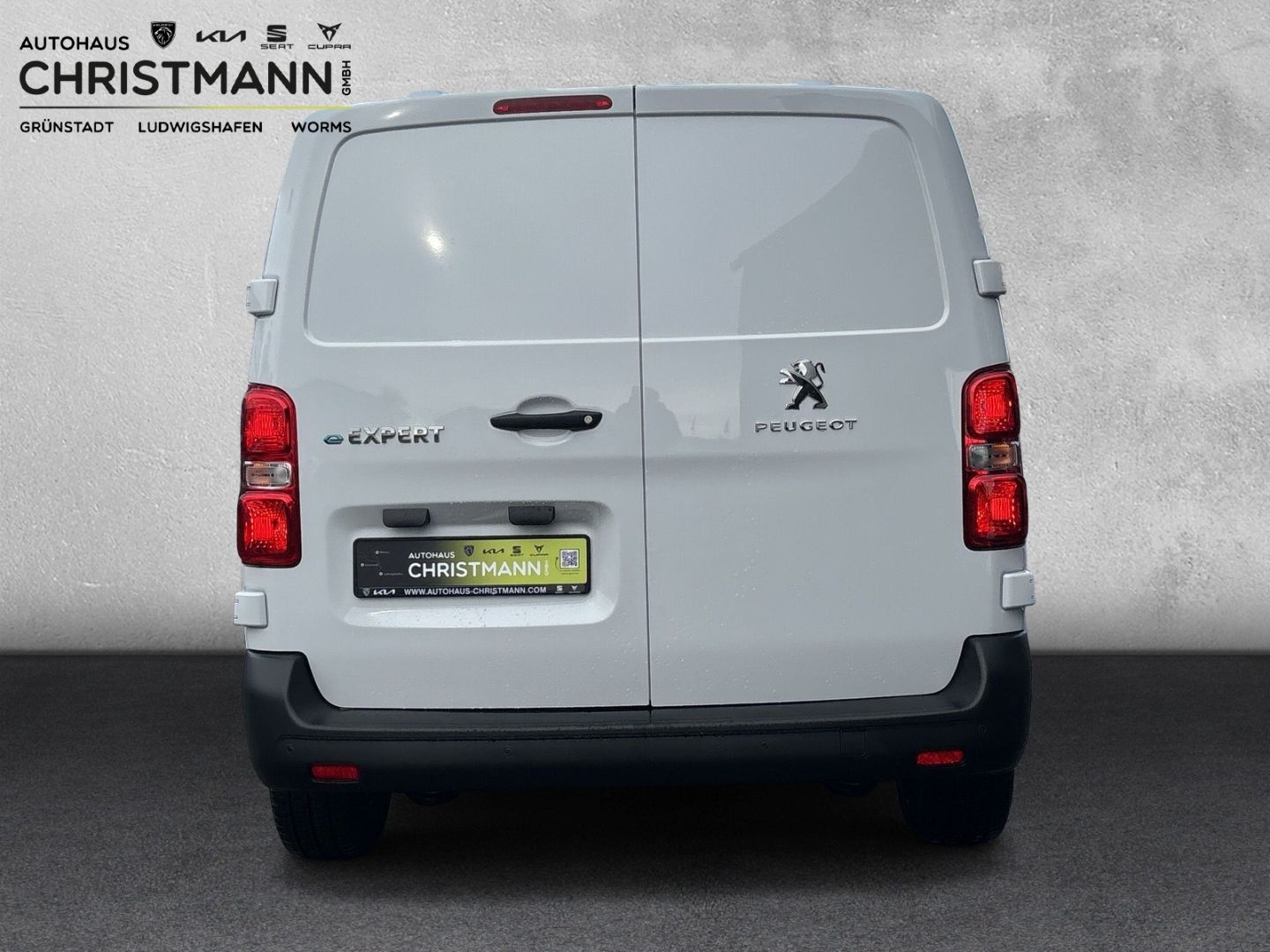 Fahrzeugabbildung Peugeot Expert Kasten Standard Elektromotor *ConnectNav-