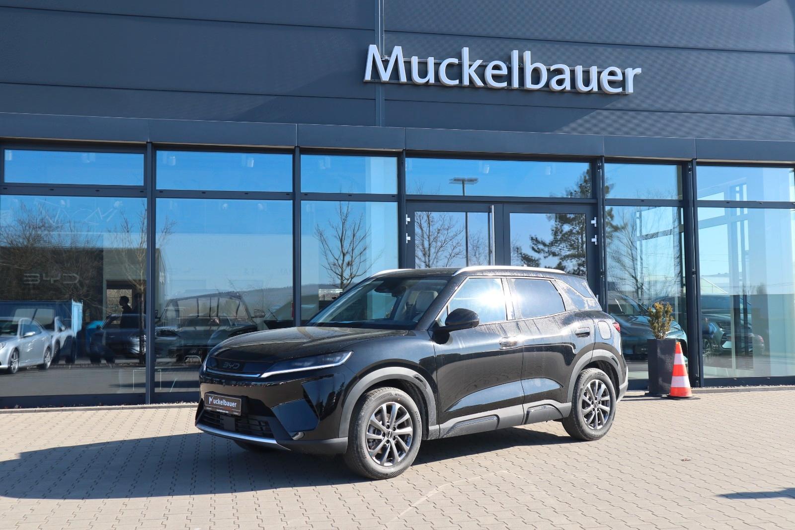 BYD ATTO 2 DM-i Boost *sofort verfügbar*