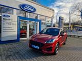 Ford Kuga ST-Line 1.5 EcoB AHK LED NAVI RFK SHZ - Ford Kuga Vorführfahrzeuge