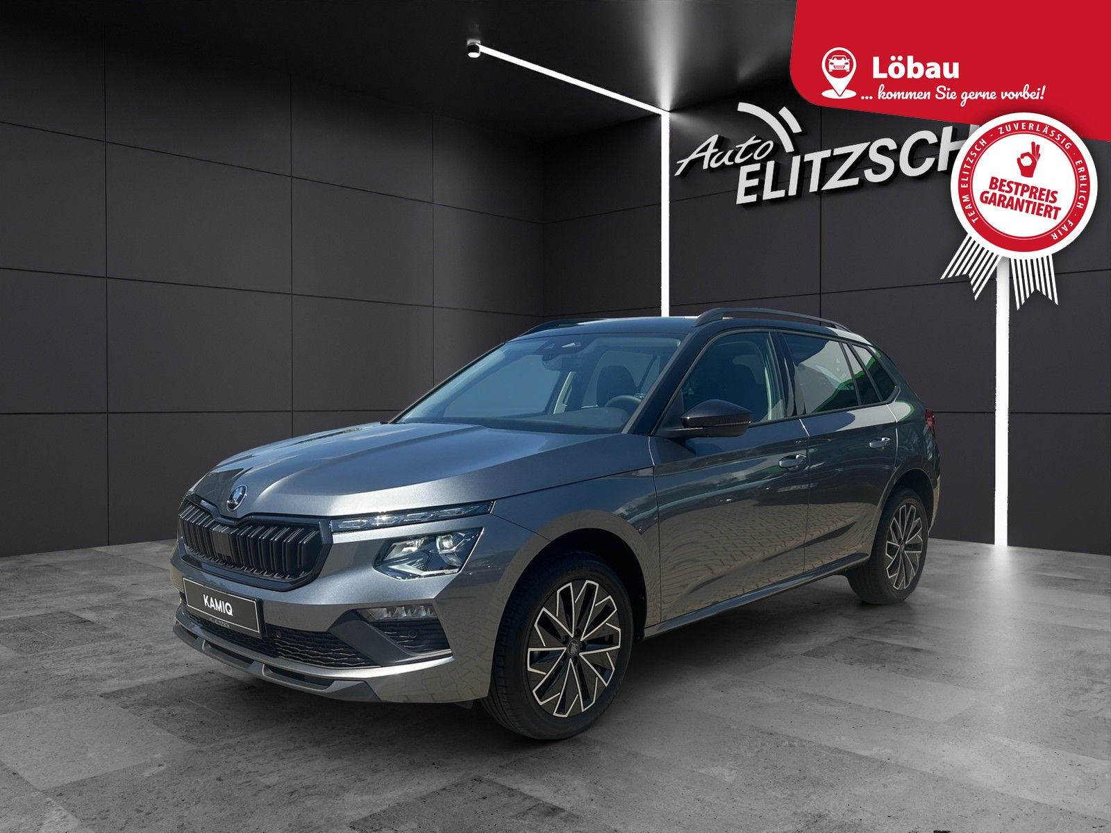Fahrzeugabbildung SKODA Kamiq 1.0 TSI Selection DSG MATRIX AHZV