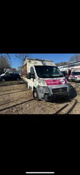 Fiat Ducato Verkaufswagen - Fiat Ducato: Verkaufswagen
