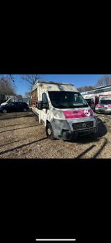 Fiat Ducato Verkaufswagen - : Verkaufswagen