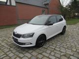 Skoda Fabia Style 1,2 TSI  Navi SHZ PDC LED DAB - Skoda Fabia: Fabia2