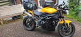 Triumph Speed Triple 1050 - 94er Sonderedition - TRIUMPH SPEED TRIPLE