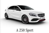 Mercedes-Benz A 250 AMG Sport 7G DCT Autom. Pano 19 Zoll... - Mercedes-Benz A 250 in Magdeburg