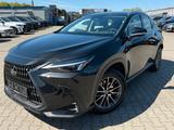 Lexus NX 350h Executive Hybrid - Lexus NX 350h SUV