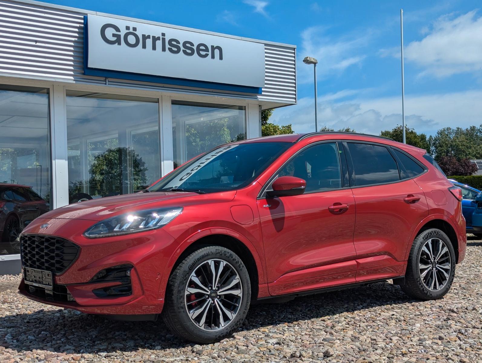 Ford Kuga Plug-In Hybrid ST-Line X Head-Up Winter-P.