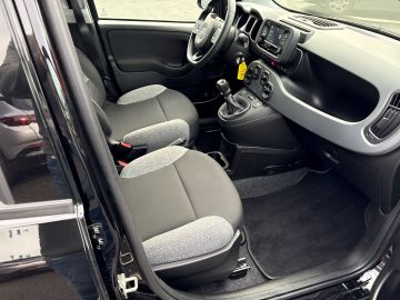 Bild 13 Fiat Panda Base 1.0 Mild Hybrid DAB Klima Freisprech