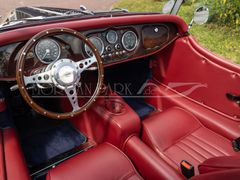 Fahrzeugabbildung Morgan Plus 4 *Sport Blue/ Muirhead Red*