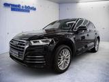 Audi Q5 50 TDI quattro Sport S-Line AHK NAVI ACC PANO - Audi Q5 Gebrauchtwagen in Freiburg
