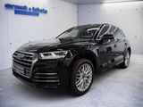 Audi Q5 50 TDI quattro 3x S-Line AHK NAVI ACC PANO
