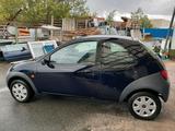 Ford KA Bj.2008  1.3L 73.000km Blau TÜV  0... - Ford Ka/Ka+ aus 2008