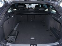 Skoda Superb - Vorschau Bild 13