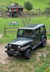 Jeep Wrangler YJ 4.0 - Jeep Wrangler in Freiburg