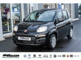 Fiat Panda MY26 Pandina ICON Hybrid 1.0 GSE SOFORT TE - Fiat Panda: Schwarz