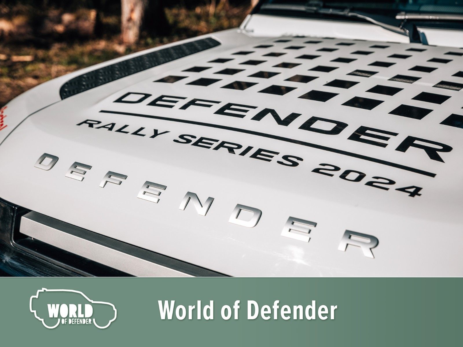 Fahrzeugabbildung Land Rover Defender 90 D250 S *Rally Series 2024*