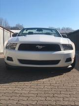 Ford Mustang - Ford: Unfallwagen