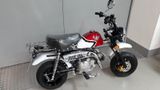 Skyteam ST125 Skymini G-Craft Skybongo Honda Monkey  - SKYTEAM MOTORRAD