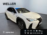 Lexus UX 300h F SPORT Design *LED*ACC*Kamera*SHZ*PDC* - Lexus Gebrauchtwagen