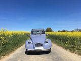 Citroën 2 CV 6 Club "Bleu Celeste" Neuwagenzustand - Citroën 2 CV: Club