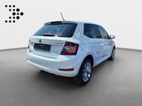 Skoda Fabia 1.0 TSI Ambition*NAVI*PDC*LED*SHZ* - Skoda Fabia Gebrauchtwagen in Frankfurt