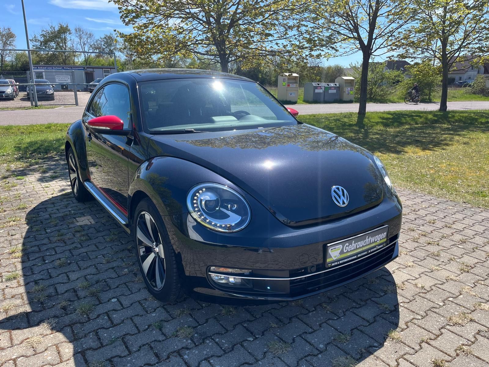 VW Beetle
