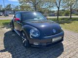 Volkswagen Beetle Club Service & TÜV NEU 8fach bereift - Volkswagen Beetle: Club